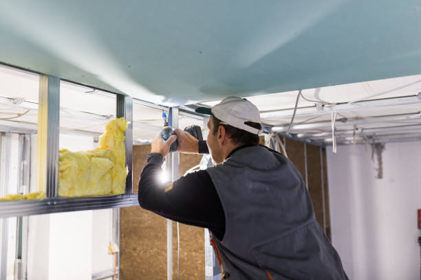 Types of Insulation We Offer in SC