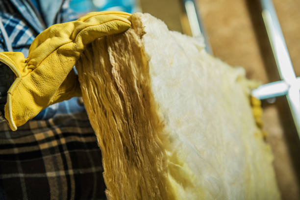 Best Insulation Maintenance and Repair in Riverview, SC