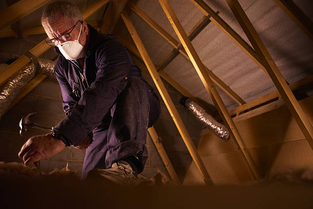 Best Specialty Insulation in Riverview, SC